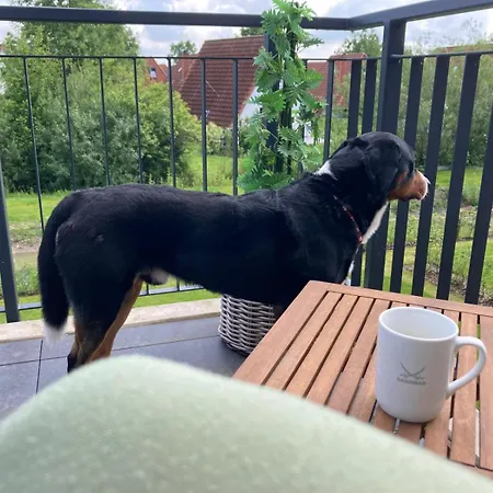 Dorumer Sielhuus 12 - Strandnah Mit Sauna Und Balkon Apartment Dorum