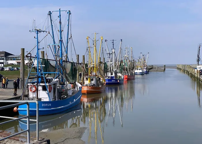 Dorumer Sielhuus 12 - Strandnah Mit Sauna Und Balkon Lejlighed